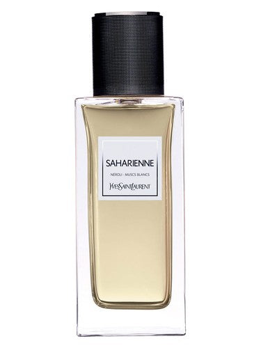 YSL Saharienne