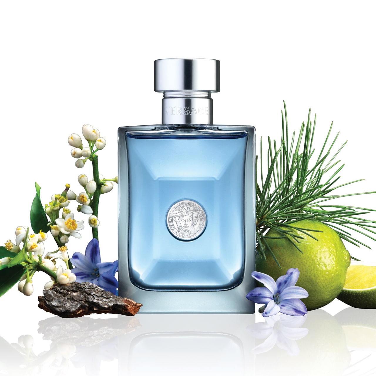 Versace Pour Homme (EDT)