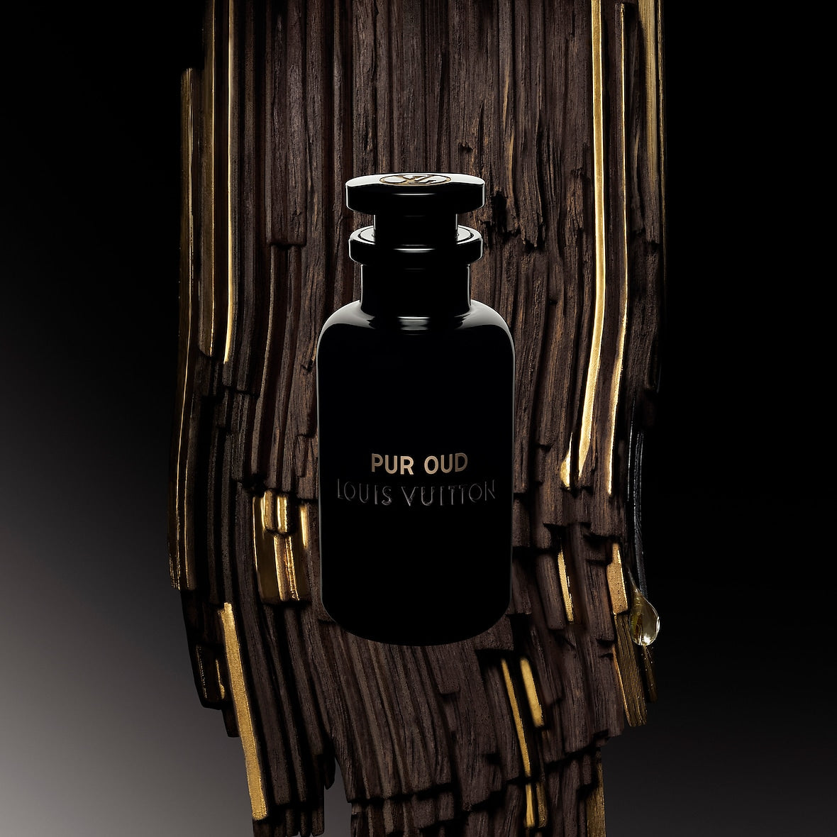 Louis Vuitton PUR OUD (rare)